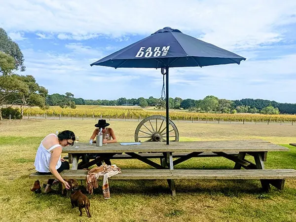 Two friends sit at a outdoor dining picnic table patting dogs at FarmDog Brewing.