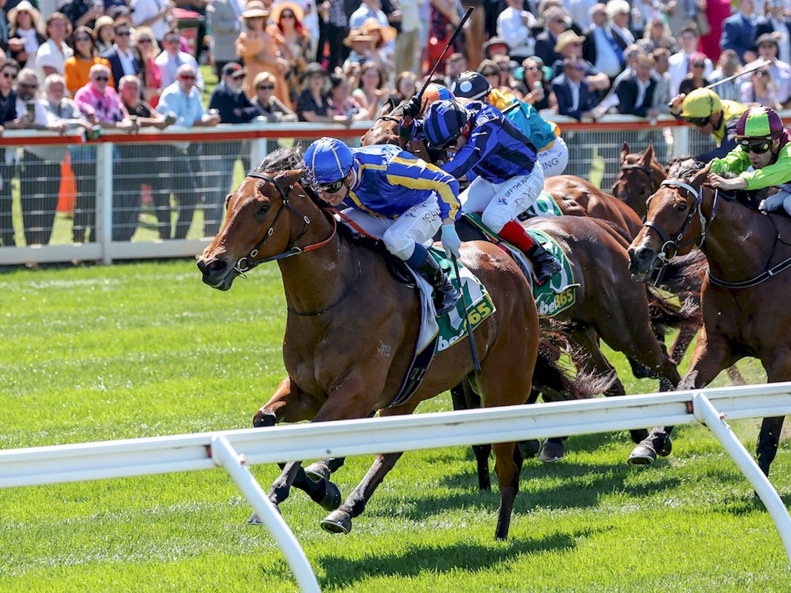 Your guide to Super Saturday on the Coast &#8211; Geelong Racing Club