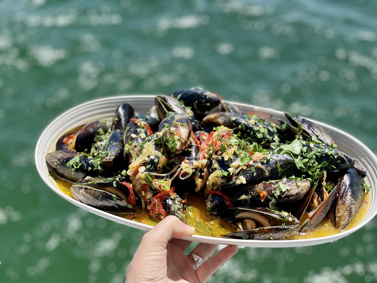 Plate of mussels with ocean in the background