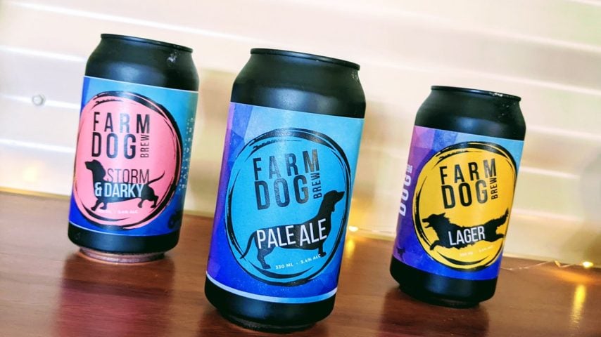 Three canned beers of FarmDog brewing on a bench.