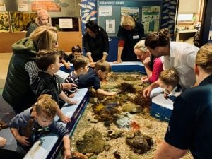 Children and adults playing in touch tank